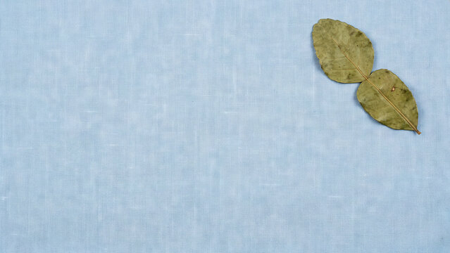 Double dried kaffir lime leaf placed in the top right corner of a light blue linen background