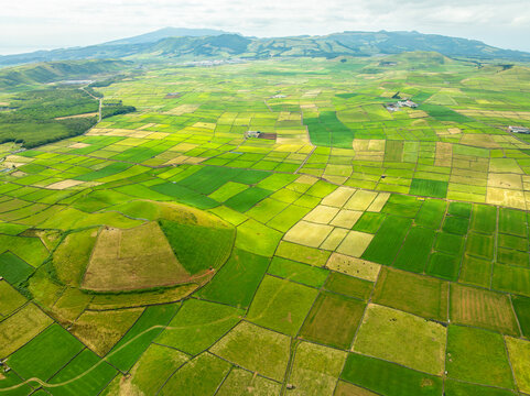 Aerial view of the lush green agricultural patchwork fields and a prominent volcanic hill on Terceira Island in Angra do Heroismo, Azores, Portugal.