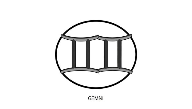 Minimalist black and white gemstone illustration.