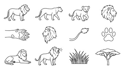 Fototapeta premium Lion Icons Set with Paw Prints, Mane, and Savanna Elements