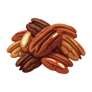 A pile of raw pecan nuts isolated on white background