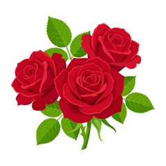 Fototapeta premium Bouquet of three red roses with green leaves isolated on white background