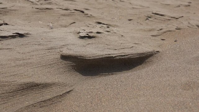 Wind shaped sand dune surface with carved ledge, natural erosion texture close view.