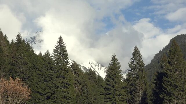 Mountain clouds move over pine valley, snow peaks, changing light, unstable weather scene.