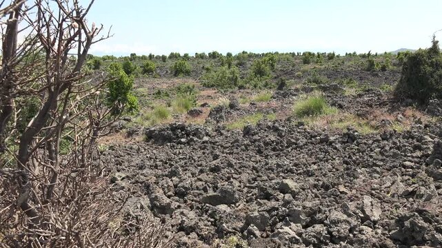 Basalt lava plain with porous volcanic rocks and sparse vegetation forms a harsh landscape.