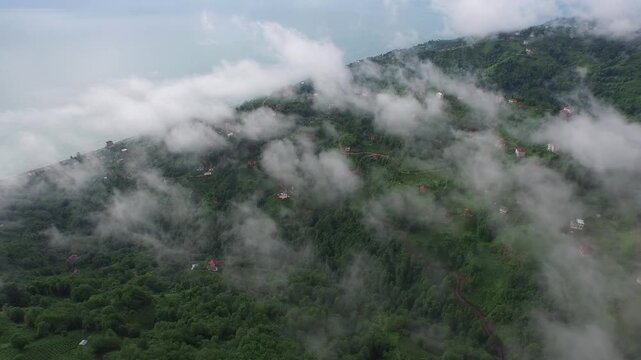 Rize Turkey mountain village houses rise above cloud sea across lush green hills.