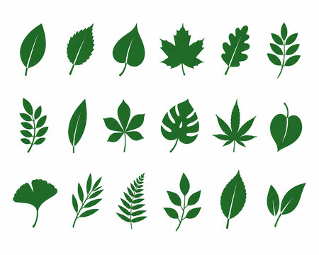 Green Leaf icon Set, Minimal Nature Plant leaves Logo Collection, Modern Symbol Set of Single one, two and three Fresh Organic Leaves Vector isolated on Transparent Png White
