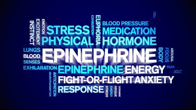 Epinephrine animated word cloud-text design animation tag kinetic typography seamless loop.