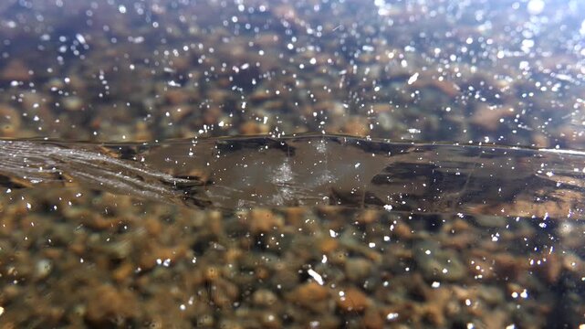 Crack in thick transparent ice layer on frozen lake water surface in cold winter season.