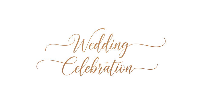 Elegant Wedding Celebration typography, calligraphy lettering design, gold brush script, romantic invitation text, modern elegant font concept, invitation card decoration