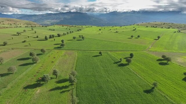 Aerial Turkey farmland patchwork fields hills cultivated plains rural terrain detail.