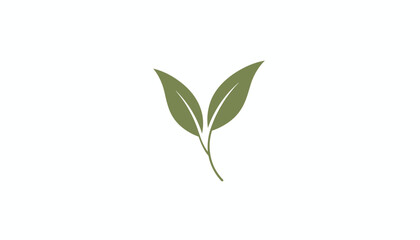 Fototapeta premium Simple minimalist illustration of two green tea leaves on a delicate stem isolated on a pure white background.