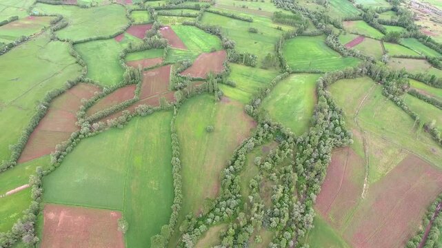 Aerial farmland patchwork fields hills cultivated plains rural terrain detail broad terrain detail.