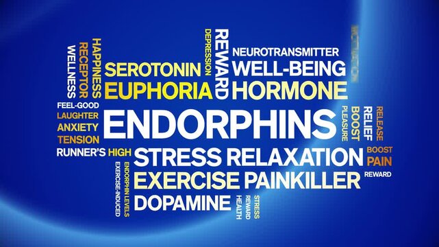 Endorphins animated word cloud-text design animation tag kinetic typography seamless loop.