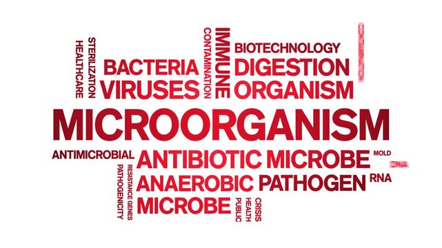 Microorganism animated word cloud-text design animation tag kinetic typography seamless loop.