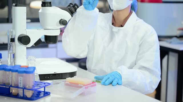 Focused researcher in protective lab gear examines scientific specimens using a stereo microscope in a modern biotechnology laboratory.