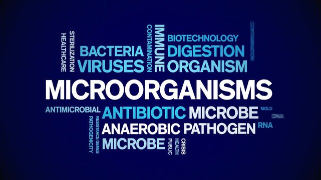 Microorganisms animated word cloud-text design animation tag kinetic typography seamless loop.