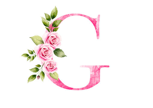 Watercolor Letter C Adorned with Pink Roses an Elegant Floral Alphabet
