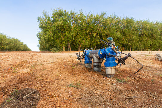 Drip irrigation valve and head control system in an olive grove field.