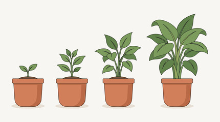 Fototapeta premium Four clay pots with green plants showing different stages of growth from seedling to mature houseplant