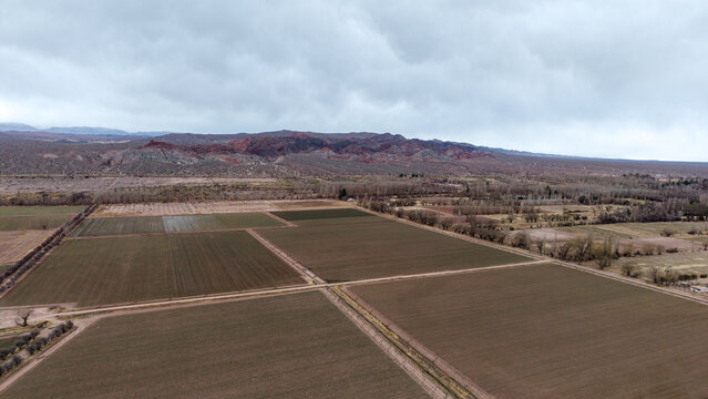 Aerial view of agricultural fields in the valley with distant mountains under a cloudy sky in Barreal, San Juan Province, Argentina.