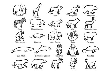 Naklejka premium A collection of black and white line drawings depicting various animals from around the world, each labeled with its name, presented in a grid format.