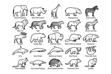 Naklejka premium A collection of hand-drawn black and white illustrations depict various wild animals from different continents, showcasing their unique features and species.
