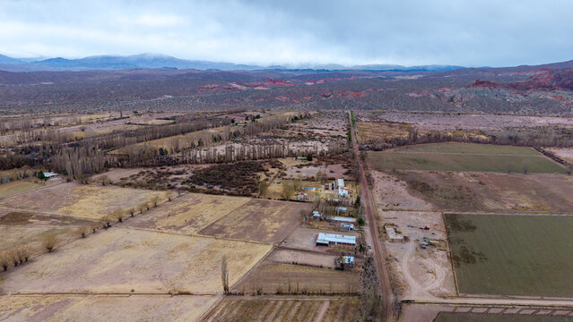 Aerial view of agricultural fields, rows of trees, and a dirt road in the arid landscape of Barreal, San Juan Province, Argentina.