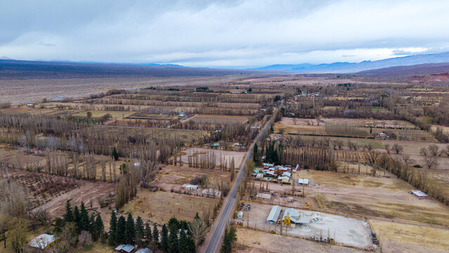 Aerial view of the rural landscape in Barreal featuring agricultural fields, rows of poplar trees, and a road running through the valley in Barreal, San Juan Province, Argentina.