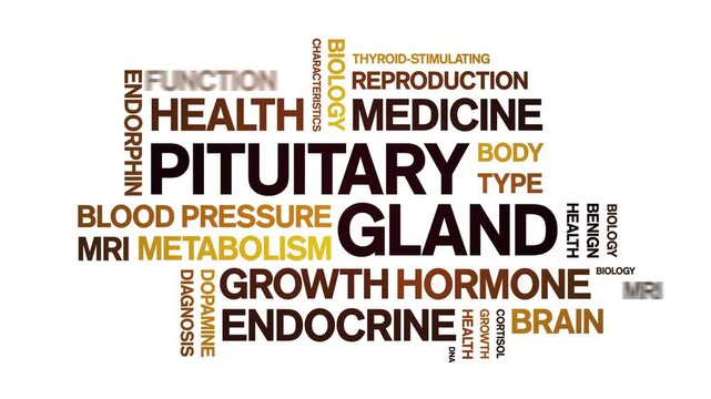 Pituitary Gland animated word cloud-animation tag kinetic typography seamless loop.