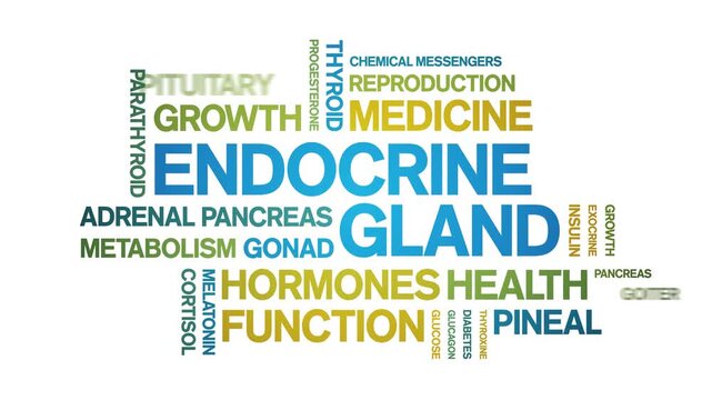 Endocrine Gland animated word cloud-animation tag kinetic typography seamless loop.