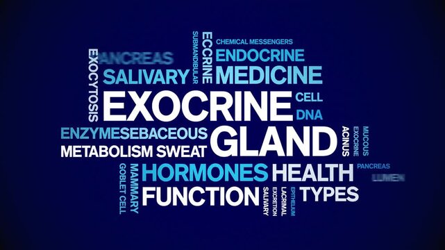 Exocrine Gland animated word cloud-animation tag kinetic typography seamless loop.