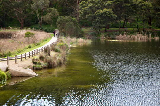 Bridge pathway at Eastone gardens lake reflection