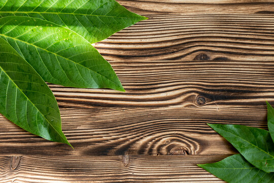 Flat lay composition with fresh green leaves on a textured rustic wooden background with copy space