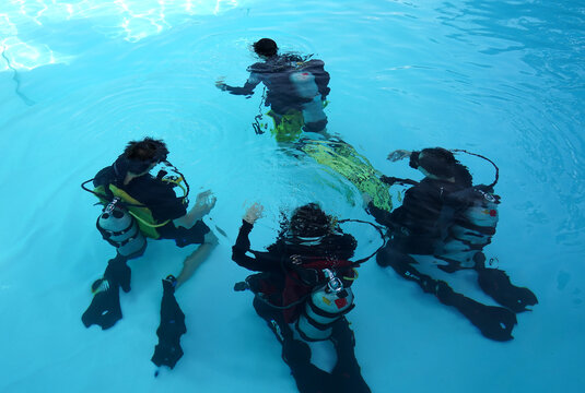 A professional diver and a novice practice diving in a pool.