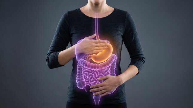 Woman holding glowing digital hologram of digestive system, stomach and intestines anatomy illustration for medical healthcare, human body internal organs visualization on dark.