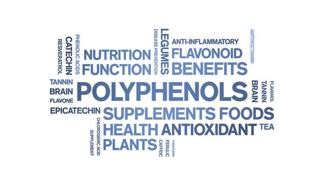 Polyphenols animated word cloud-animation tag kinetic typography seamless loop.