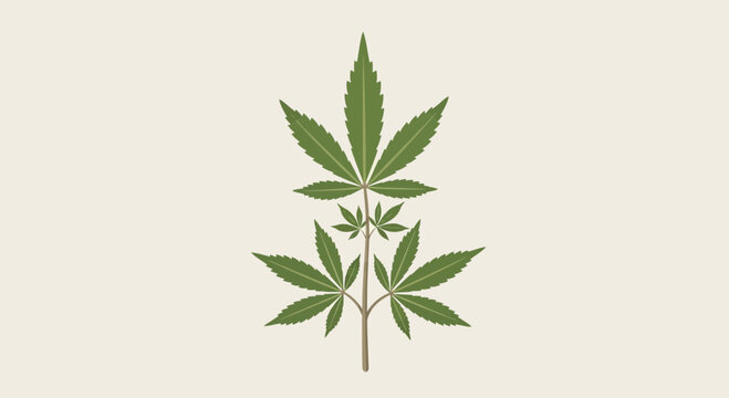 Minimalist vector illustration of a green cannabis leaf isolated on a light background.