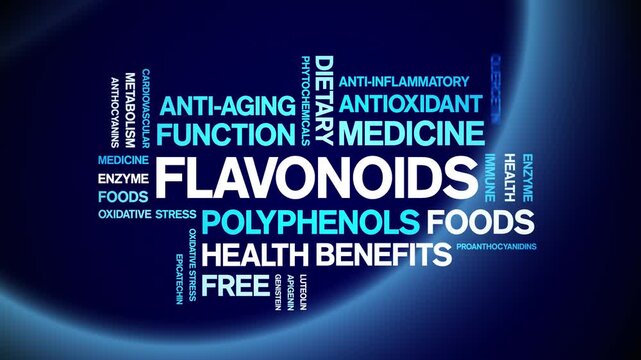 Flavonoids animated word cloud-animation tag kinetic typography seamless loop.