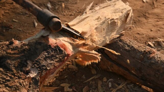 A person using a traditional hand axe to hew a rough wooden log resting. Traditional manual wood-chopping axe with a metal head and wooden handle. Its Commonly used in rural and village settings.