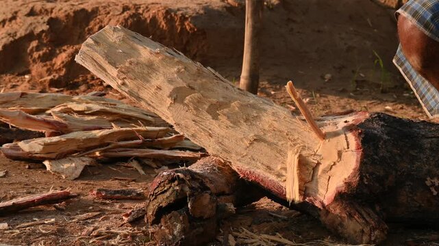 A person using a traditional hand axe to hew a rough wooden log resting. Traditional manual wood-chopping axe with a metal head and wooden handle. Its Commonly used in rural and village settings.