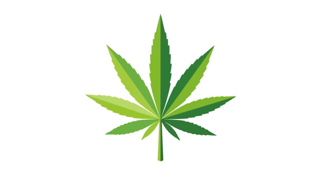 A single green marijuana cannabis leaf isolated on a white background.