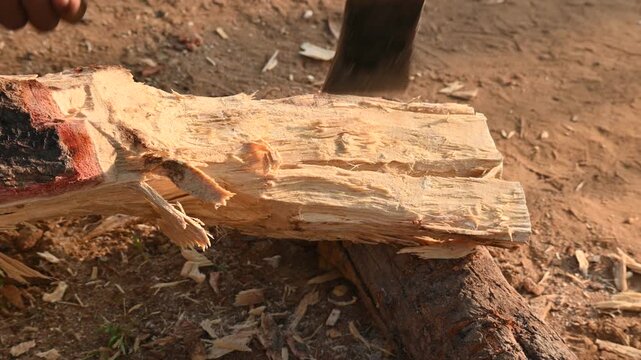 A person using a traditional hand axe to hew a rough wooden log resting. Traditional manual wood-chopping axe with a metal head and wooden handle. Its Commonly used in rural and village settings.
