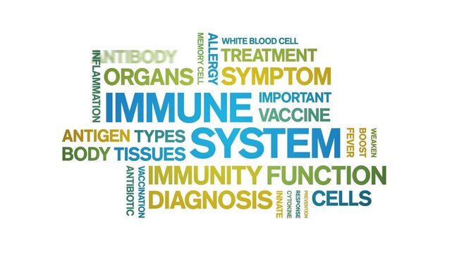immune system animated word cloud-animation tag kinetic typography seamless loop.