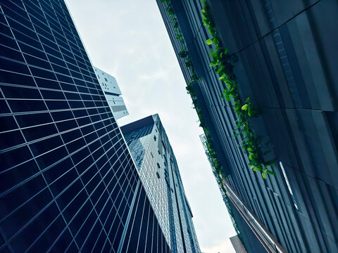 Skyward skyscraper contrast. Vertical highrise silhouettes against cloudy urban horizon