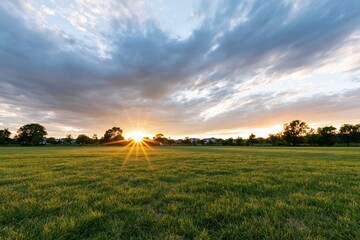 Naklejka premium The Sunrise Over Expansive Grass Field at Distant Horizon with Golden Light