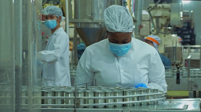 focused female specialist wearing protective hygienic workwear hairnet face mask carefully monitor inspect row can move along automated production conveyor belt inside clean modern food processing pac