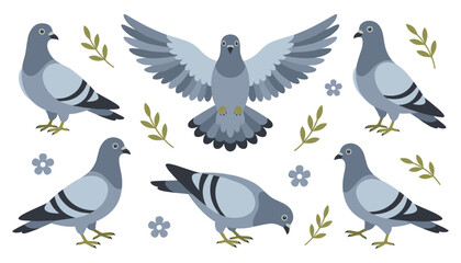 Obraz premium Pigeon and Dove Bird Vector Illustration Set with Flying, Standing, and Foraging Poses for Nature, Peace, Wildlife, and Urban Decorative Graphic Designs