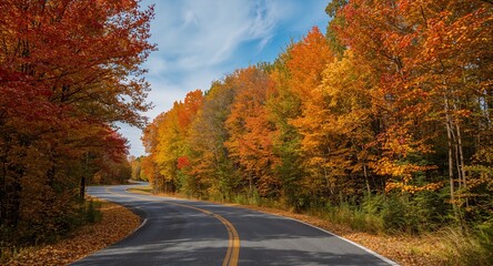 Fototapeta premium A scenic view of a winding road lined with vibrant autumn trees showcasing beautiful fall colors concept as Scenic view of winding road lined with vibrant autumn trees showcasing beautiful fall colors