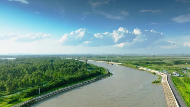 Hefei Binhu Nanfei River Bridge Aerial: Red Cable-stayed Bridge Spanning Emerald Waters and Lush Wetlands
